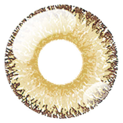 Dolce Perfect 1 Day Amber Beige
