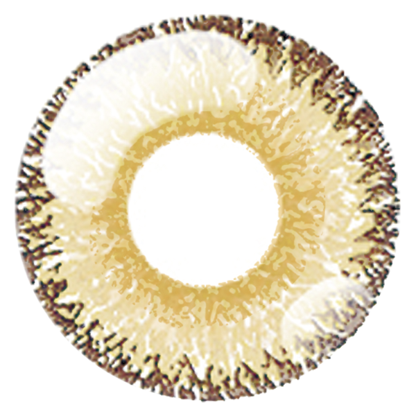 Dolce Perfect 1 Day Amber Beige
