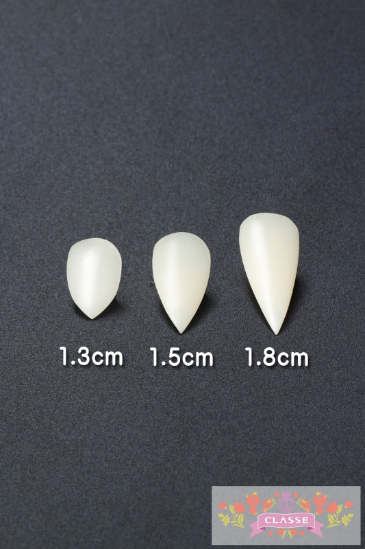 附属双齿1.8厘米