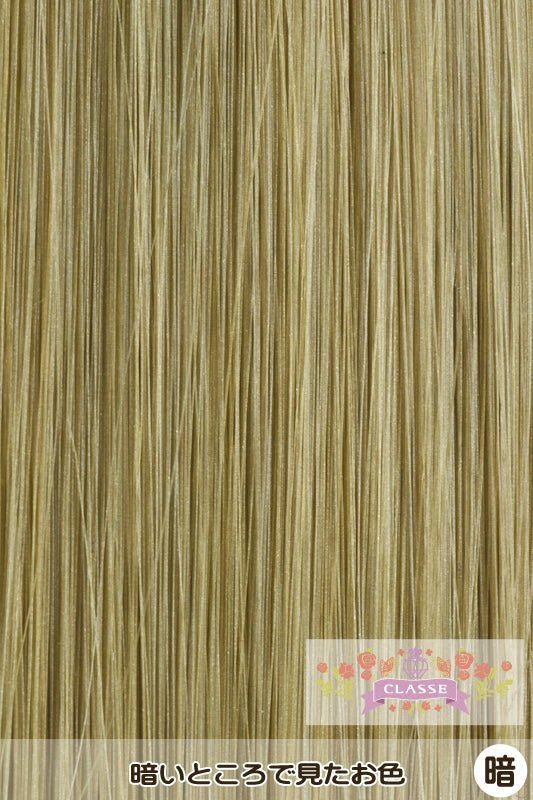 PRO 生え際パーツ ロング ver.2 -ゴールド10