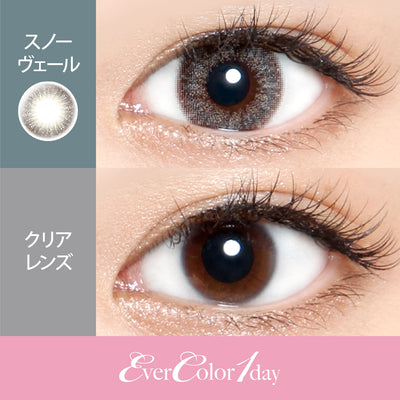 Evercolour One Day Contacts Snow Veil