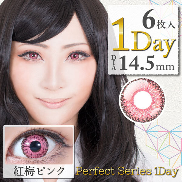 Dolce Perfect 1day Red Ume Pink