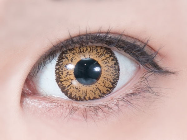 Dolce Perfect 1 Day Amber Beige